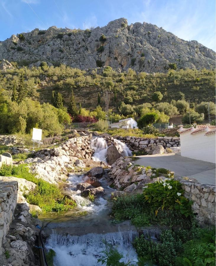 Casa De Los Alamos Periana Zewnętrze zdjęcie