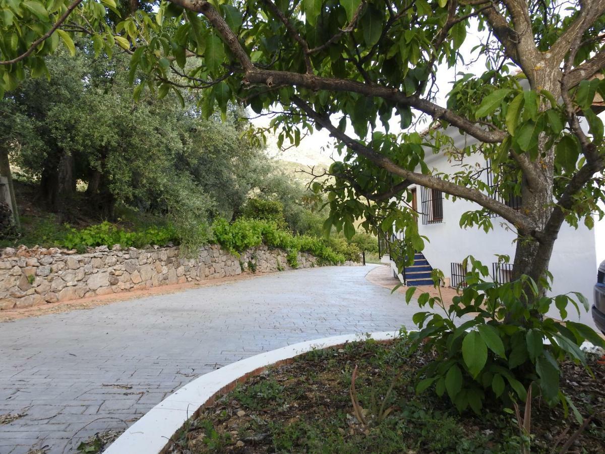 Casa De Los Alamos Periana Zewnętrze zdjęcie